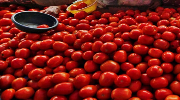Tomato Prices in India: આ શહેરમાં મળે છે સૌથી સસ્તા ટામેટા, માત્ર આટલા રુપિયા પ્રતિ કિલો…
