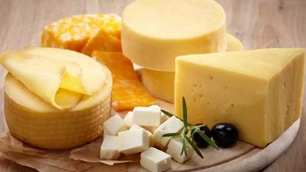5 Benefits of Eating Cheese: વજન ઘટાડવાથી લઈને કેવિટીને દૂર રાખવા સુધી, તમને ચીઝ ખાવાના મળે છે આ 5 ફાયદા!