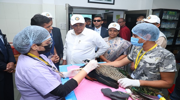 CM Bhupendra Patel Visited Wildlife Care Center: મુખ્યમંત્રી ભૂપેન્દ્ર પટેલે અમદાવાદના બોડકદેવમાં આવેલા વાઇલ્ડ લાઇફ કેર સેન્ટરની મુલાકાત લીધી