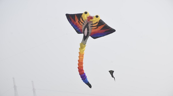 International Kite Festival-2024: એકતાનગરના નર્મદા ડેમ વ્યુ પોઇન્ટનું આકાશ રંગબેરંગી અને વિશાળ પતંગોથી છલકાયું