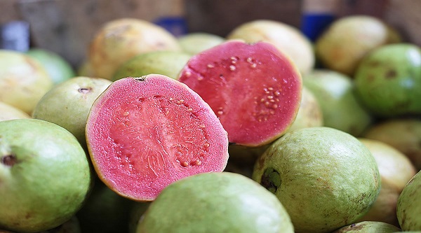 Pink Guava Benefits: સ્વાસ્થ્ય ગુણોનું પાવર હાઉસ છે ગુલાબી જામફળ, જાણો તેના અગણિત ફાયદા…