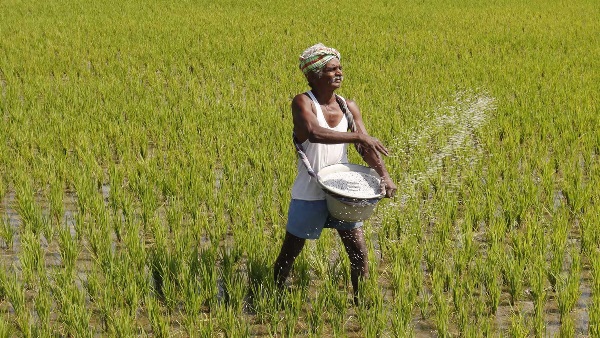 Gujarat Governments Decision Regarding Farmers
