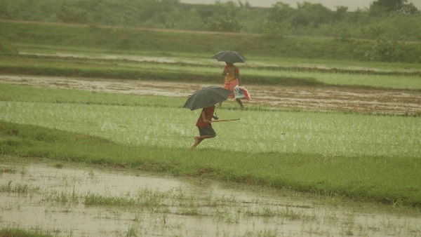 Rain alert: ગુજરાતના ખેડૂતો માટે આગામી 48 કલાક ચિંતાજનક, ભારે પવન સાથે વરસાદની આગાહી- વાંચો વિગત