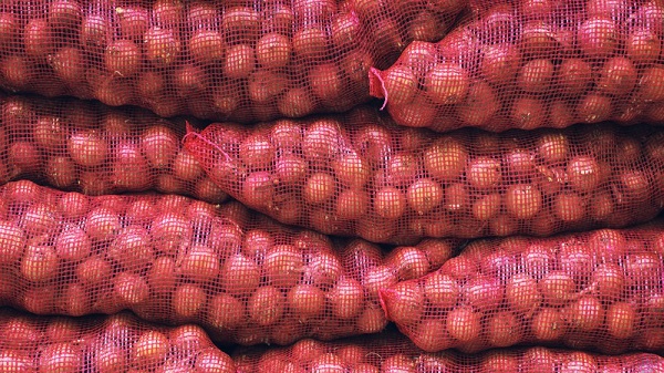 Onion Export: કેન્દ્ર સરકારે UAE, મોરેશિયસ સહિત 6 દેશોમાં ડુંગળીની નિકાસને આપી મંજૂરી