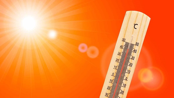 Summer Health Tips: ગરમીમાં હીટ સ્ટ્રોકનું સૌથી વધું જોખમ, આ રીતે રાખો ઉનાળામાં હેલ્થનું ધ્યાન