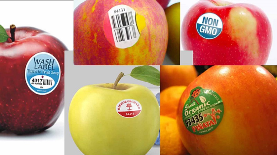 Sticker on the Fruit: ફળ અને શાકભાજી પર લગાવેલા સ્ટીકરો દ્વારા જાણી શકાય કે તે ખાવા લાયક છે કે નહીં- વાંચો વિગત 1 Apple sticker