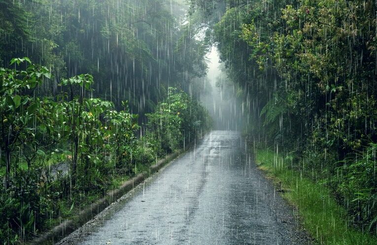 Rainfall forecast: આગામી સપ્તાહ દરમિયાન રાજ્યમાં ભારે/હળવા થી મધ્યમ વરસાદની આગાહી