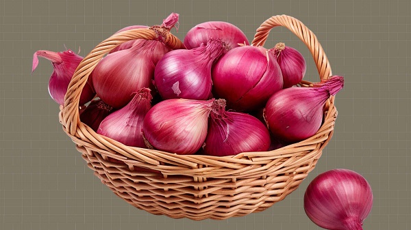 Onion Benefits in Summer: ઉનાળામાં કાચી ડુંગળી સ્વાસ્થ્ય માટે લાભદાયી- જાણો શું કહે છે એક્સપર્ટ