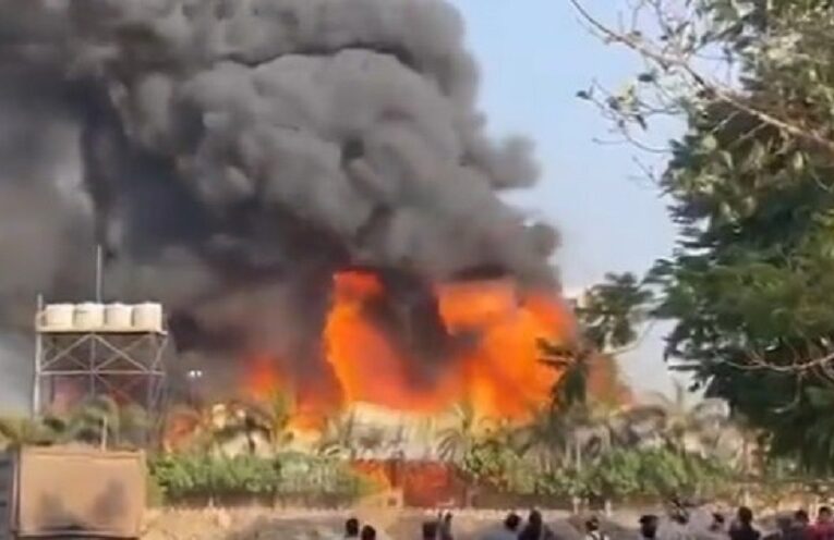 Fire in Rajkot game zone: રાજકોટના TRP ગેમ ઝોનની આગમાં 24 લોકોના મોત