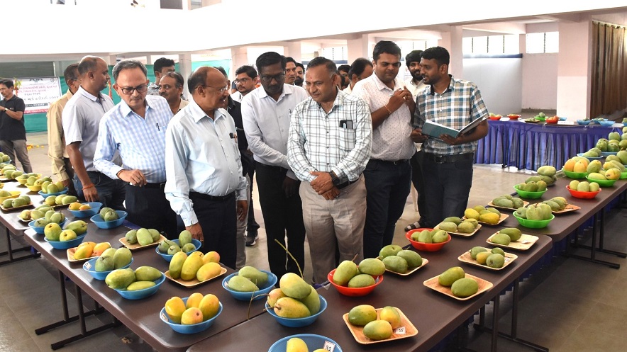 Exhibition and competition of mangoes