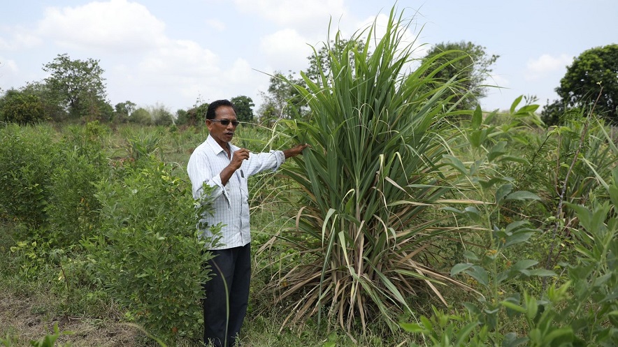 farmer valji bhai surat organic farming