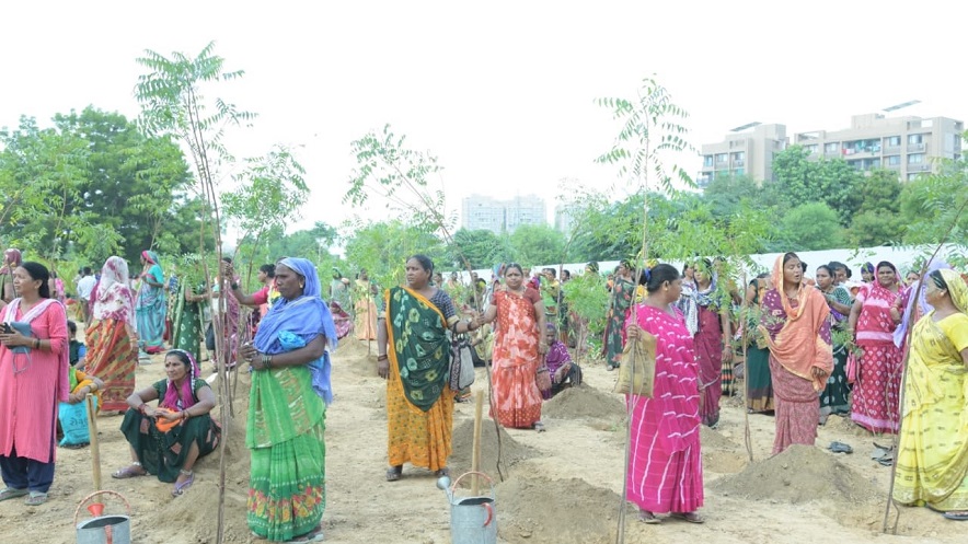 AMC tree plantation