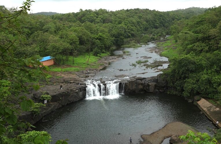 Eco Tourism Centre Devghat: ચોમાસાની ઋતુમાં પ્રકૃતિનું સાંનિધ્ય માણવા માટે ઉમટી પડતા પર્યટકો