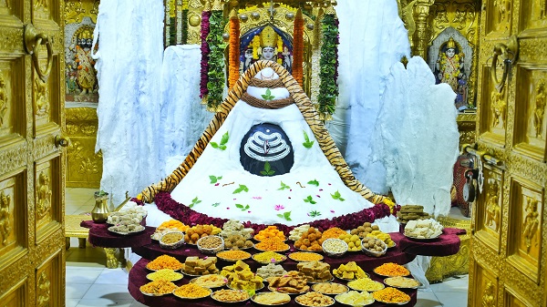 Somnath kailash Darshan: સોમનાથ મહાદેવના કૈલાશ દર્શન શ્રૃંગાર