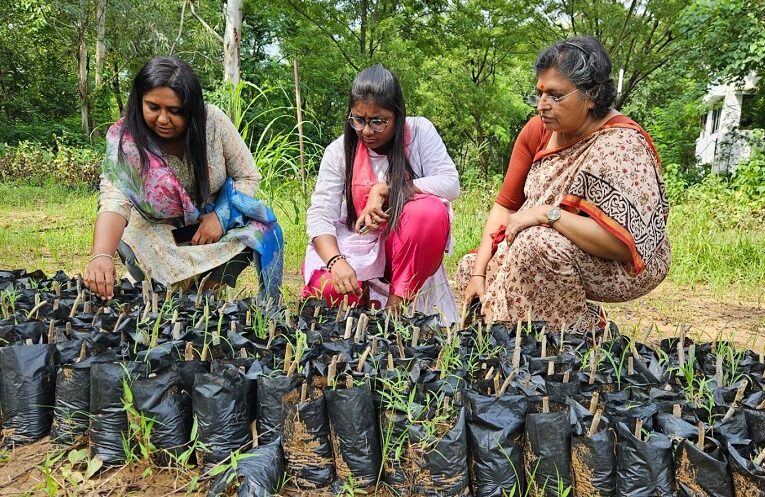 Ek Ped Maa Ke Naam: હાલોલ નગરપાલિકાના ‘કૃષ્ણવડ અભિયાન’થી સોનામાં સુગંધ ભળી