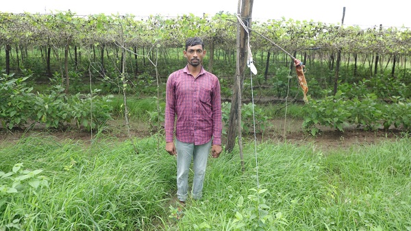 Natural farming, Mitul chaudhari