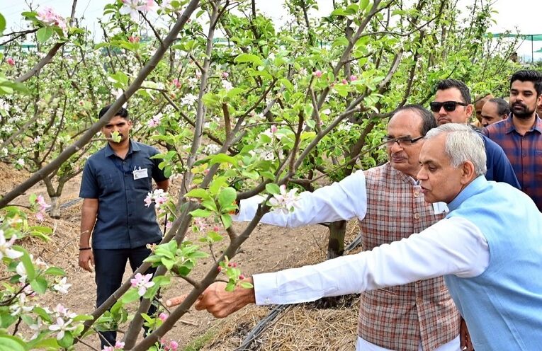 Union Minister of Agriculture: પ્રાકૃતિક ખેતીનો વ્યાપ વધારવા રાષ્ટ્રીય કમિટીની રચના કરાશે : કેન્દ્રીય કૃષિ મંત્રી 2 Union Minister of Agriculture: પ્રાકૃતિક ખેતીનો વ્યાપ વધારવા રાષ્ટ્રીય કમિટીની રચના કરાશે : કેન્દ્રીય કૃષિ મંત્રી