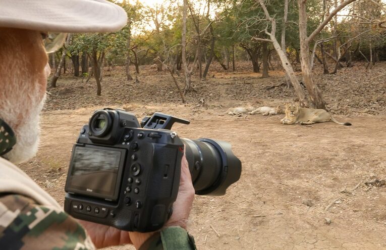 PM Modi clicked photos in Gir: ગીરમાં સિંહો અને સિંહણો! મેં ફોટોગ્રાફી કરવાનો પ્રયાસ કર્યો: પ્રધાનમંત્રી 1 PM Modi clicked photos in Gir: ગીરમાં સિંહો અને સિંહણો! મેં ફોટોગ્રાફી કરવાનો પ્રયાસ કર્યો: પ્રધાનમંત્રી