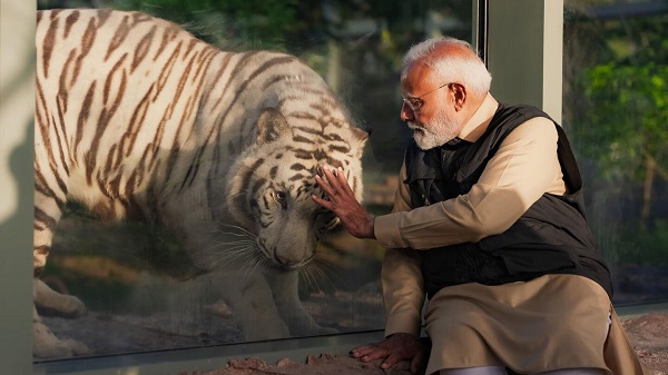PM Modi visited Vantara: વડાપ્રધાન મોદીએ વનતારાનું લીધી મુલાકાત 5 PM Modi visited Vantara