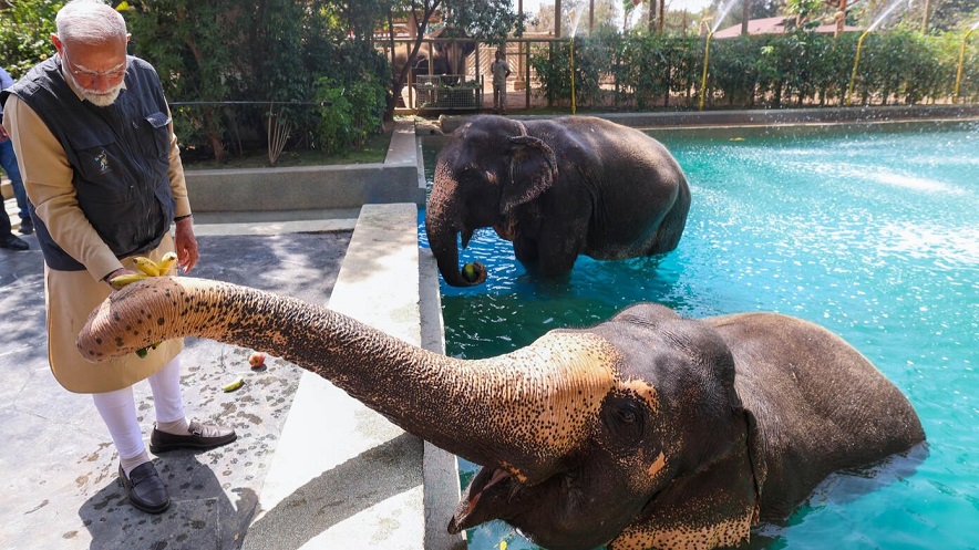 PM Modi visited Vantara: વડાપ્રધાન મોદીએ વનતારાનું લીધી મુલાકાત 1 PM Modi visited Vantara 3