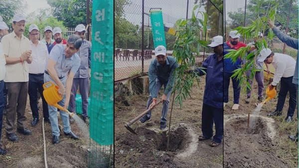 Tree Planting Campaign: રાજકોટ રેલવે ડિવિઝનમાં વિશાળ વૃક્ષારોપણ અભિયાન