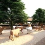 Vrindavan Gauchar Park at Vadnagar