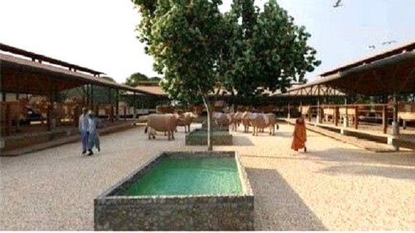 Vrindavan Gauchar Park at Vadnagar: વડનગર ખાતે વૃંદાવન ગૌચર પાર્કનું થશે નિર્માણ 3 Vrindavan Gauchar Park at Vadnagar