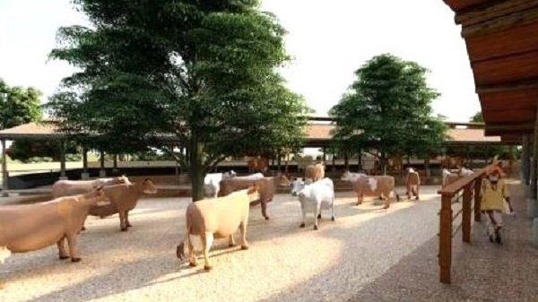 Vrindavan Gauchar Park at Vadnagar: વડનગર ખાતે વૃંદાવન ગૌચર પાર્કનું થશે નિર્માણ 1 Vrindavan Gauchar Park at Vadnagar