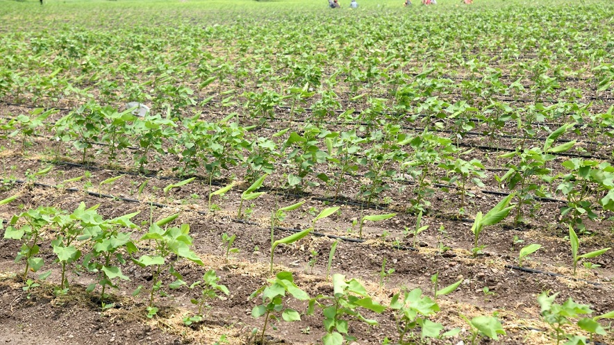 Natural Farming 884x497 1